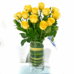 Classic dozen Yellow Roses