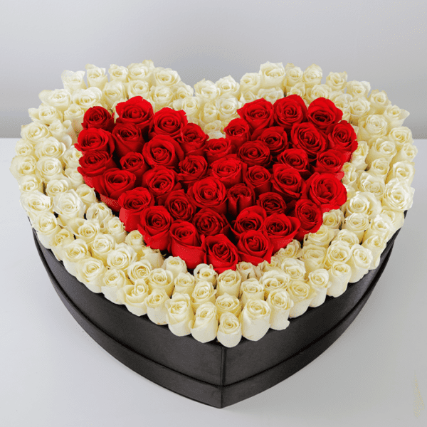 Magnificent Love of White and Red Roses