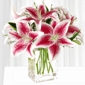 Sweet Smelling Lilies