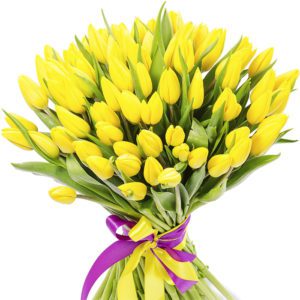 Yellow Tulips online