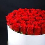 box_of_red_roses_in_white_box_2_