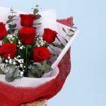 bunch-of-6-red-rose-25_03