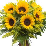 bunch_of_sunflowers_2_