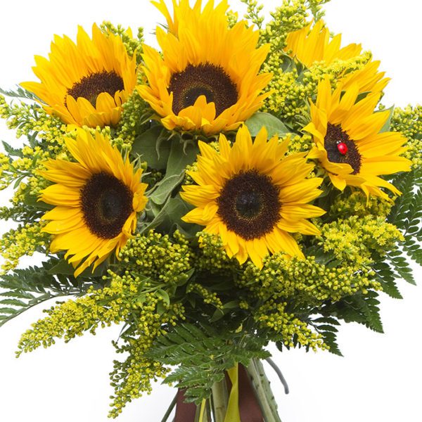 bunch of sunflowers bouquet online