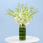 captivating-white-orchids-25