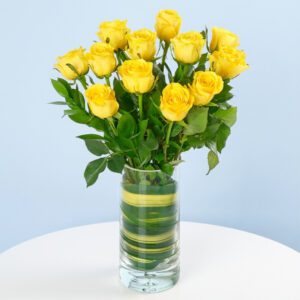 Classic dozen Yellow Roses