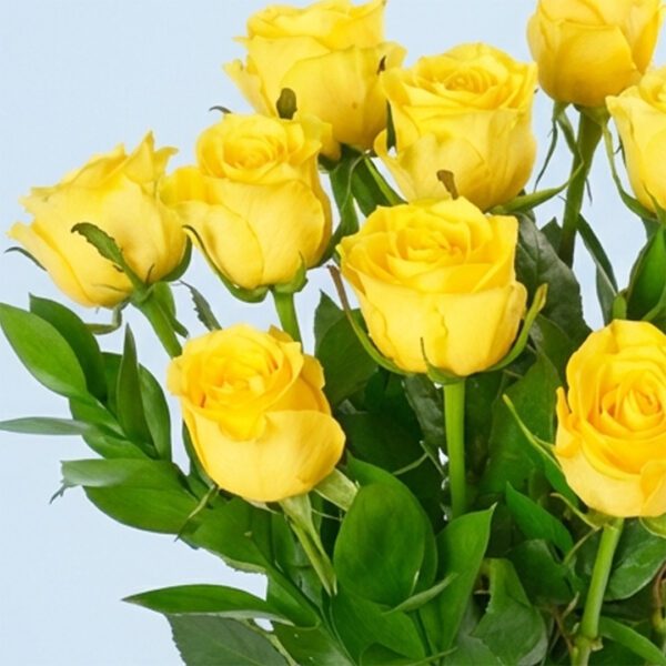 classic-dozen-yellow-roses-25_04