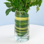 classic-dozen-yellow-roses-25_05