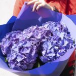 classy_hydrangea_bouquet