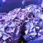 classy_hydrangea_bouquet_1_