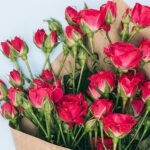 cone-of-spray-roses-25_04