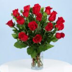 delicate-red-roses-2026