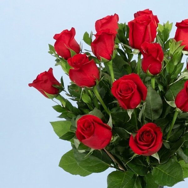 delicate-red-roses-2026_02