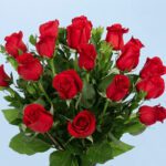 delicate-red-roses-2026_04