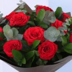 delightful-red-2026_04