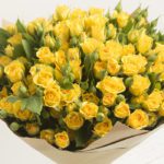 enlightening_yellow_spray_roses_2_