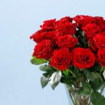 enticing-red-roses-in-vase-25_02