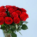 enticing-red-roses-in-vase-25_03