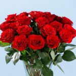 enticing-red-roses-in-vase-25_04