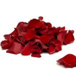 floating_red_rose_petals