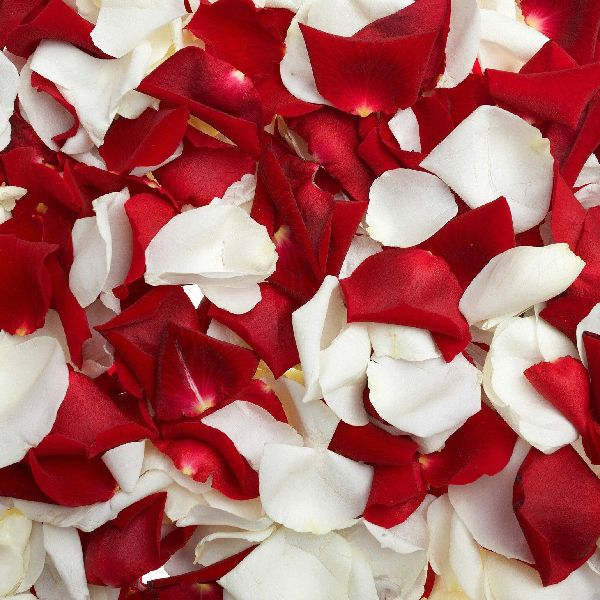 order Rose petals online