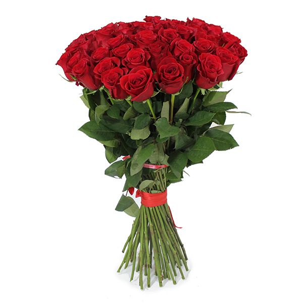 Long Stem Grandeur Red Roses | Order flowers online across Omanin www ...