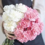 pink_white_carnations