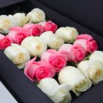 pink_white_roses_in_black_box_2_