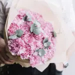 pinky_carnations