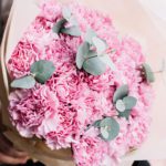 pinky_carnations_2_