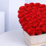 red-rosesin-heart-shaped-box-2026_03
