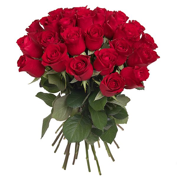 Red Grandeur Roses | Order flowers online across Oman in www ...