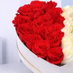 roses-of-red-and-white-in-heart-shape-2026_03