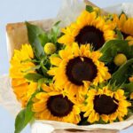sunflowers-in-a-vase-25_03