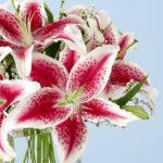 sweet-smelling-25_02