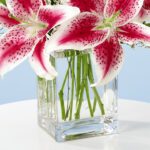 sweet-smelling-25_04