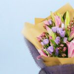 wineberry-sunset-2026_02