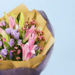 wineberry-sunset-2026_03