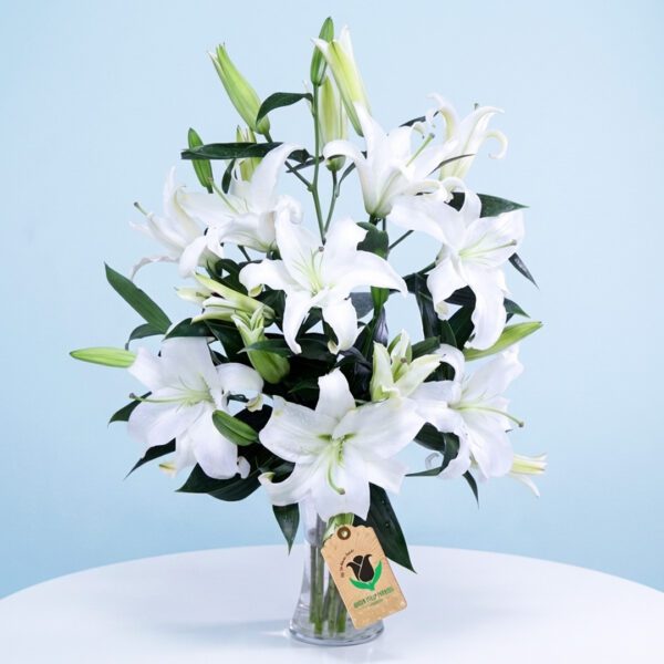 wonderful-lilies-2026 A vase filled with white lilies, accompanied by a tag that reads Wonderful lilies.