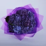 Compassionate-Hydrangea-2