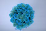 536A1718-scaled