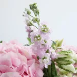 Pastel-Blooms-with-Box-3