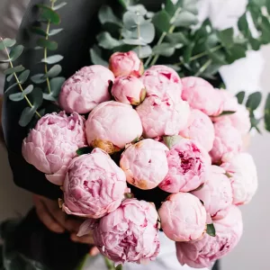 Bunch of 20 Stems Pink Peonies