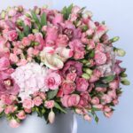 delightful-pink-blooms_2026_02