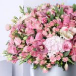 delightful-pink-blooms_2026_03