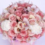 modish-pink-combination-2026_02