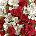 Luxury-Christmas-Special-1