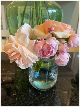 pink roses in vase