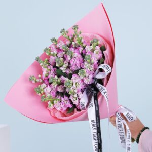 A bouquet of pink mathiola flowers wrapped in pink paper with a black ribbon.