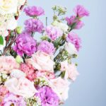 03 - Hearty Mixed Floral Box